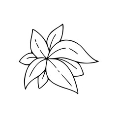 a line art drawing of a leaves illustration
