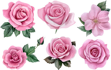 seamless pattern with pink roses