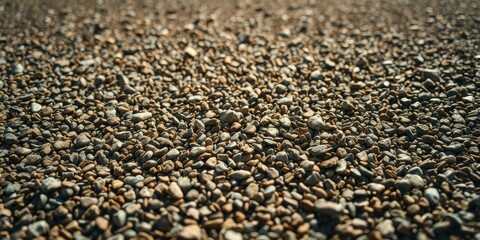 A Close-Up Perspective of a Surface Covered in Pebbles, Capturing the Natural Beauty of a Diverse Collection of Stones