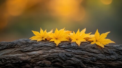 Beautiful Yellow Maple Leaves on a Rustic Wooden Log in Nature