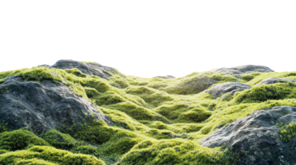 A serene landscape featuring lush green moss carpeting rocky terrain, highlighting the beauty of nature's texture and vibrant colors under soft sunlight.