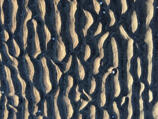 Ripples in the sand