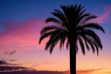 Elegant palm tree silhouette on a tranquil background perfect for tropical-themed projects and summer designs