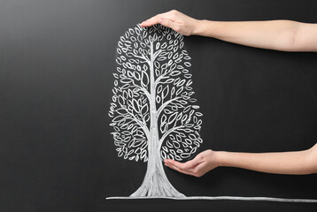 Woman keeping safe tree drawn on chalkboard, closeup
