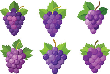 grapes illustration on white background