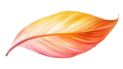 A vibrant and delicate leaf in warm hues of orange and yellow, showcasing the beauty of nature. Ideal for themes of growth and transformation.