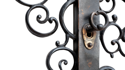 A close-up of an ornate iron gate showcasing intricate scrollwork and a vintage lock, symbolizing elegance and security in architectural design.