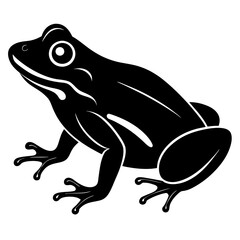 frog vector illustration