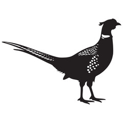 pheasant forest bird black silhouette icon , bird vector illustration