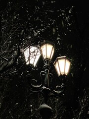 A street lamp under the snow