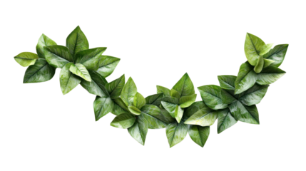 A vibrant collection of green leaves arranged elegantly. Perfect for nature-themed designs, gardening projects, or eco-friendly advertising.