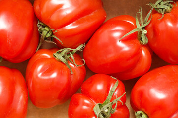 Small bright red deeply ribbed tomatoes isolated on white background