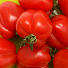 Small bright red deeply ribbed tomatoes isolated on white background