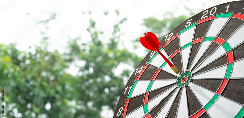 Poster dart on target board with tree background