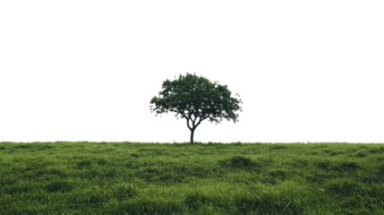 A solitary tree stands tall in a lush green field, symbolizing tranquility and nature's beauty. Perfect for themes of peace and environmental wellness.