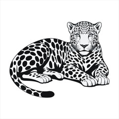 Adorable Tiger Cartoon Black and White Drawing,Black and White Cartoon Tiger for Kids Projects,Simple Tiger Line Art for Kids