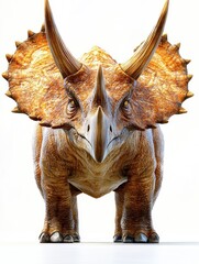 Fototapeta premium Highly Detailed Realistic Triceratops Model on a Clean White Background for Educational Use