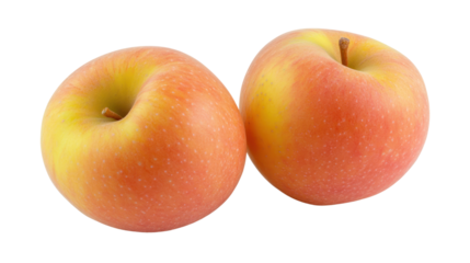 Fresh and juicy apples featuring a vibrant red and yellow gradient, perfect for healthy eating, baking, or a refreshing snack.