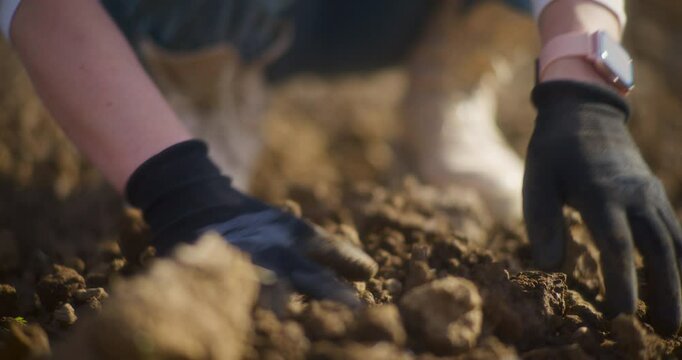 Female Farmer Checks Soil Quality In Hands