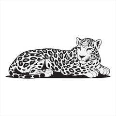 Adorable Tiger Cartoon Black and White Drawing,Black and White Cartoon Tiger for Kids Projects,Simple Tiger Line Art for Kids