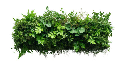 Obraz premium A vibrant and lush green vertical garden showcasing a variety of foliage, perfect for enhancing indoor and outdoor spaces with nature's beauty.
