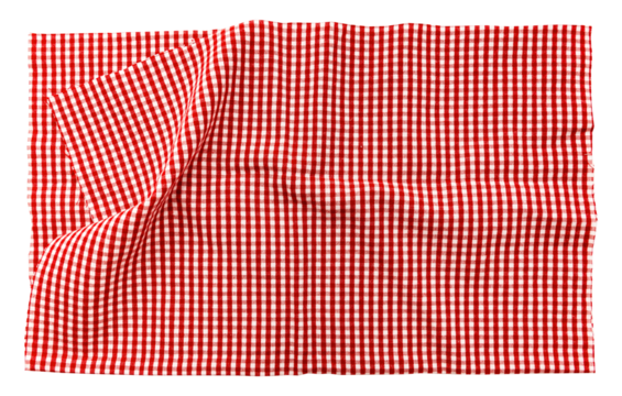 Piece of torn crumpled checkered fabric on a white background. Textile. Cellular tissue isolate