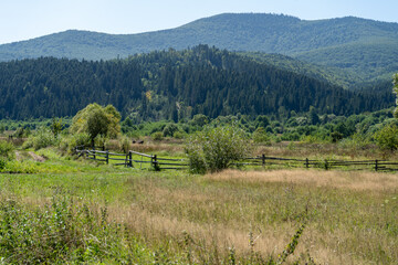 Mountains ranges Carpathian. Hill forest and meadows valley in summer day. Blue sky. Nature outdoor