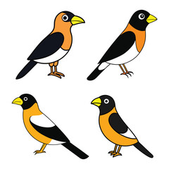 create a image of a evening grosbeak cartoon vector.