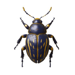The image shows a detailed close-up view of a stylized beetle with a dark blue body and gold accents.