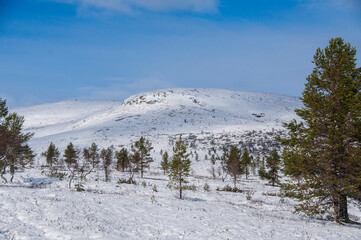 Snowy Scandinavian Mountain 3