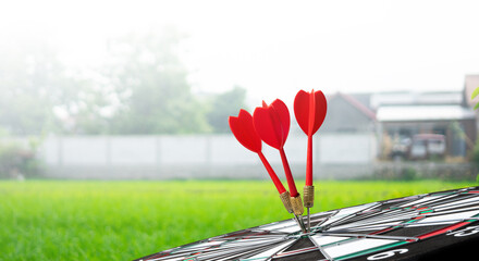 red darts on target with green field background