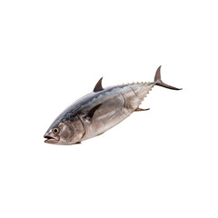 Freshly Caught Tuna: A vibrant, silver-grey tuna with sleek lines and powerful fins is depicted in a close-up shot, showcasing the fish's inherent beauty and freshness.  