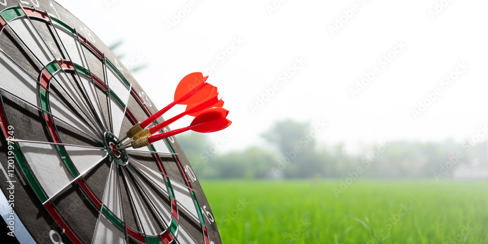 Poster three dart on target with grass background