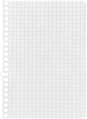 Ripped torn paper piece isolated on transparent background