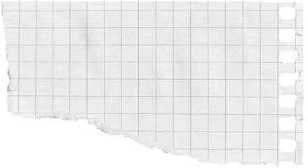 Ripped torn paper piece isolated on transparent background