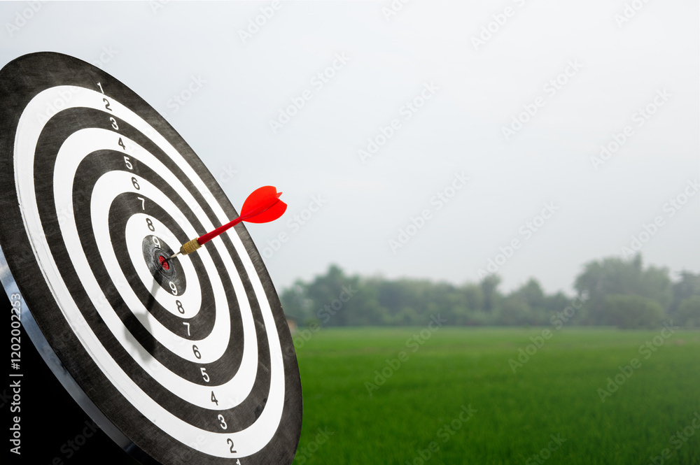 Poster red arrow on target with green field background