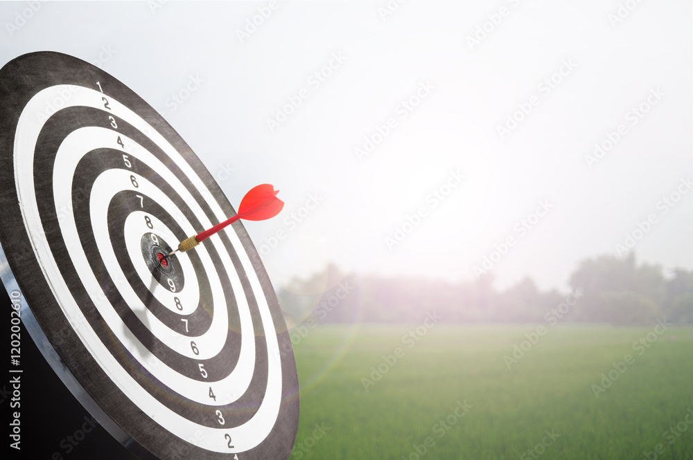 Poster red dart on target with green field background
