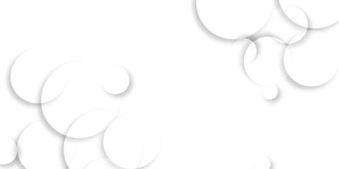 Luxury elegant white and grey background with circle. Modern abstract light silver background vector. .Abstract gray circle lines on white background.. vertical vector template for wedding invitation