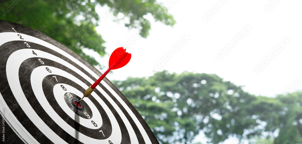 Poster dart on target board with blurry tree background