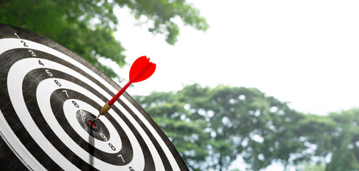 dart on target board with blurry tree background