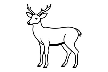 Deer Illustration on White Background