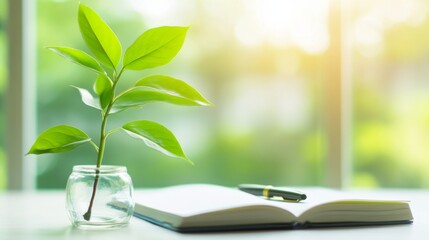 Healthy green plant on white table with small notebook and pen, symbolizing health advice and wellness tips, clean and focused image with copy space for text.	