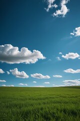 Fototapeta premium there is a field of grass with a blue sky in the background