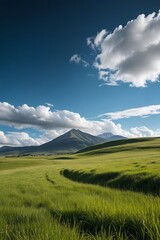Fototapeta premium grassy field with a mountain in the distance and a blue sky