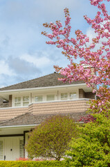 Top of grey stucco luxury house with shingle roof, red and yellow trees and nice windows in Spring in Vancouver, Canada, North America.