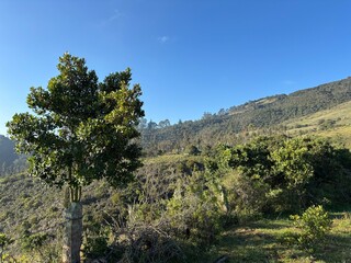 paisaje hermoso con cielo azul claro