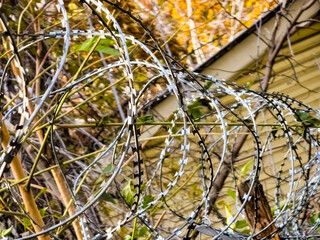 Barbed wire over the wall. The concept of imprisonment or restriction of territory in industrial production.