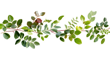 Obraz premium Minimalist leafy garland in soft watercolor tones, perfect for decor