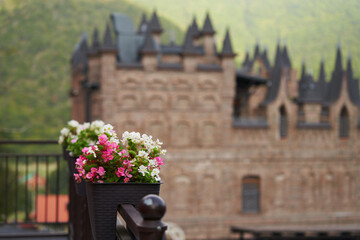 Outdoor cachepot with begonia flowers on blurred background of mountains and castle in Gothic...