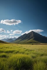 Obraz premium grassy field with mountains in the background and a blue sky
